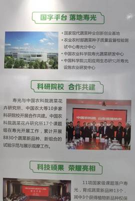 院士來了，國字號科研院所也來了——生態環境高水平保護推動經濟高質量發展看濰坊見聞